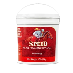 Speed