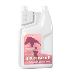 Broodmare