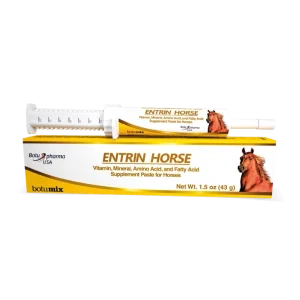 Entrin Horse