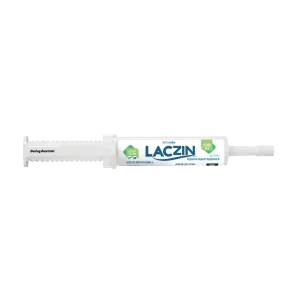 Laczin